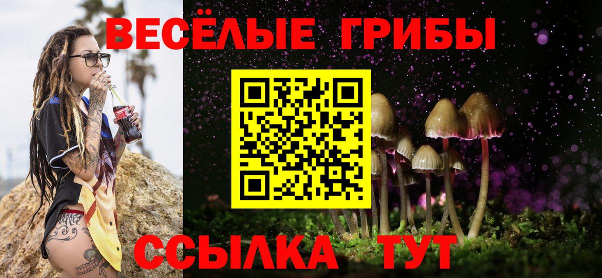 Чусовой  Псилоцибиновые грибы прущие грибы  Вход с VPN 